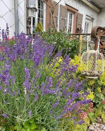 Nocleg ze śniadaniem La Vieille Eglise 3*