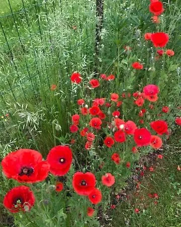 לינה וארוחת בוקר La Vieille Eglise לה הוואלד