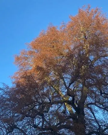 Nocleg ze śniadaniem La Vieille Eglise Le Hohwald