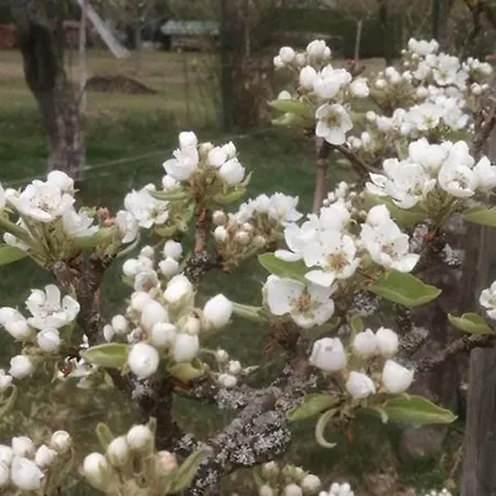 La Vieille Eglise 3* לה הוואלד