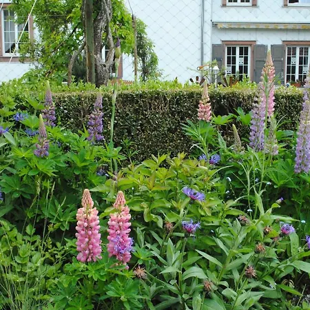 La Vieille Eglise Bed & Breakfast *